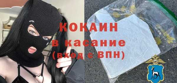 ешки Алексин