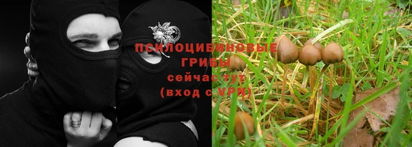 ешки Алексин