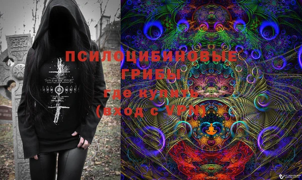 ешки Алексин