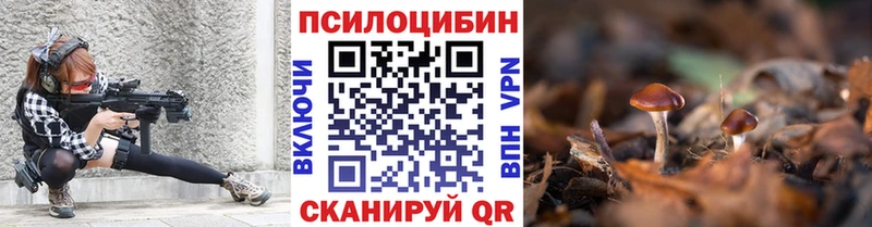 блэк спрут ССЫЛКА  Юрьевец  Псилоцибиновые грибы Psilocybine cubensis 